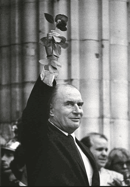 Η γροθιά και το τριαντάφυλλο