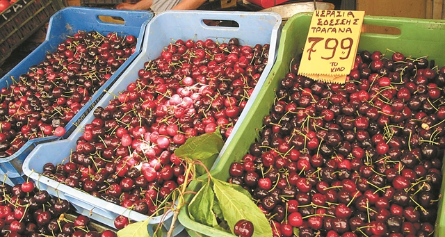 Λιγότερα και ακριβότερα τα κεράσια λόγω του παγετού