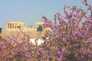 Μια τρυφερή αγκαλιά…