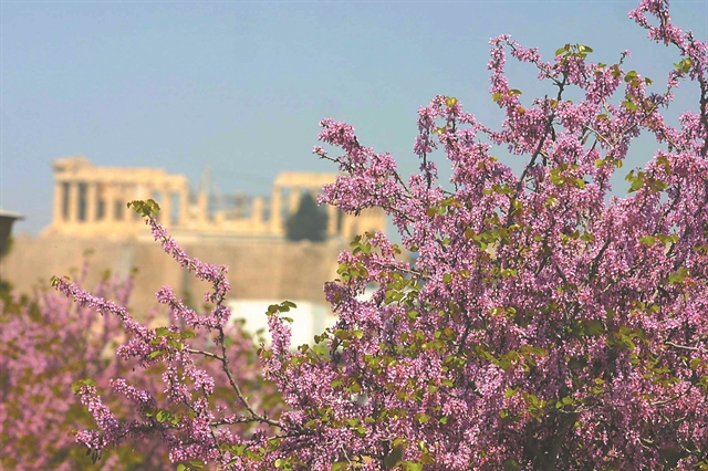 Μια τρυφερή αγκαλιά…