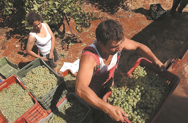 Λιγότερη παραγωγή κρασιού