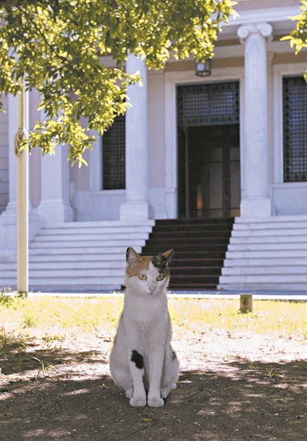 Τα τρία πρόσωπα – κλειδιά και η κρίσιμη ημερομηνία