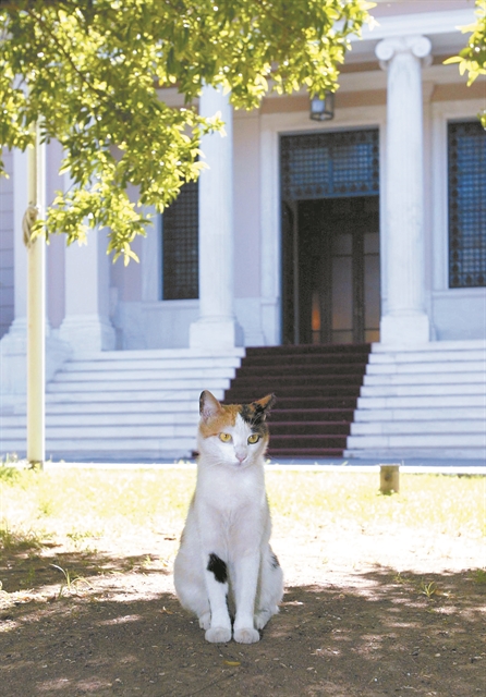 Η «αόρατη ομάδα» του Μαξίμου