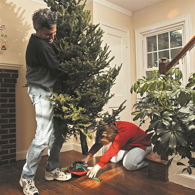 Τα στολίδια του δέντρου