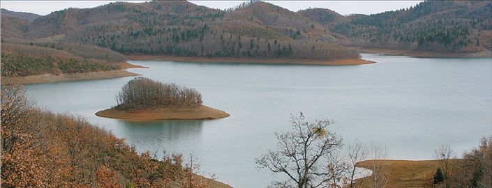 Παντός καιρού