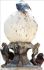 Όξινη ρύπανση από περιστέρια