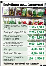 Ένα μποστάνι στο μπαλκόνι