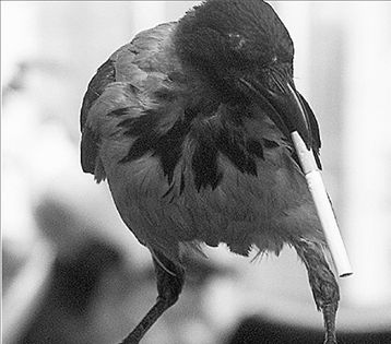 Ο καημός του μη καπνιστή