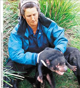 Η κραυγή των διαβόλων