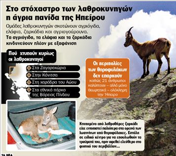 Εξαφανίζουν ελάφια και ζαρκάδια