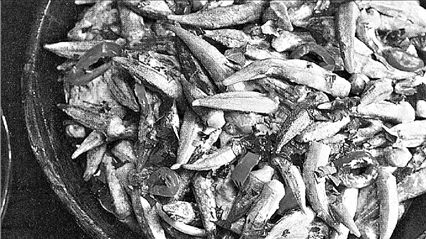 Μπάμιες, το γευστικό φαινόμενο που… διχάζει τους ουρανίσκους