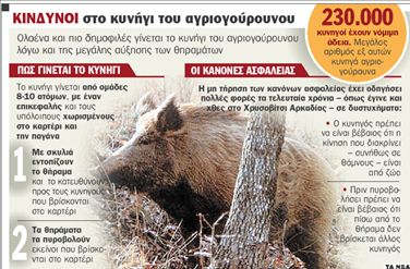 Καρτέρι θανάτου σε  κυνήγι αγριογούρουνου