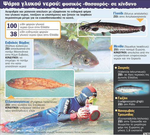 Τα ψάρια πεθαίνουν από δίψα