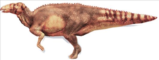 «Μούμια» δεινοσαύρου  ανακαλύφθηκε στις ΗΠΑ