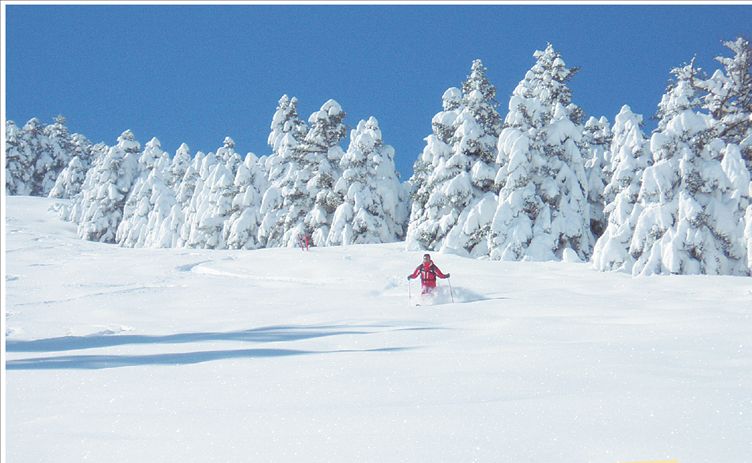 ΟΡΕΙΝΗ ΑΡΚΑΔΙΑ