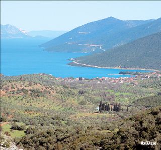 ΠΤΕΛΕΟΣ Καλοκαιρινός παράδεισος