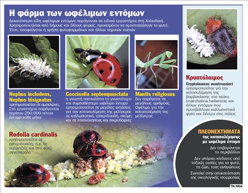 Κρυπτόλαιμος εναντίον μελίγκρας!