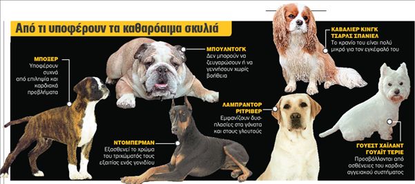 SΟS για τα σκυλιά ράτσας