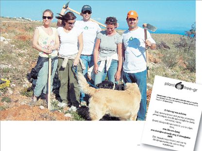 Όλα του γάμου… πράσινα