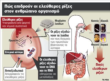 Ρωσική συνταγή για φίλτρο νεότητας