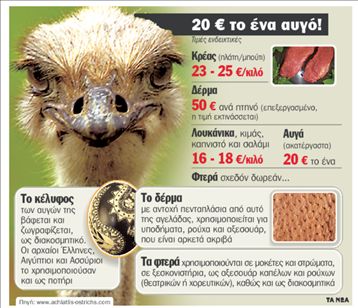 «Στρουθοκάμηλος Α.Ε.»