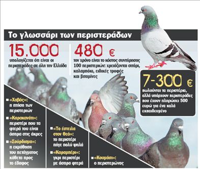 500 ευρώ για ένα περιστέρι