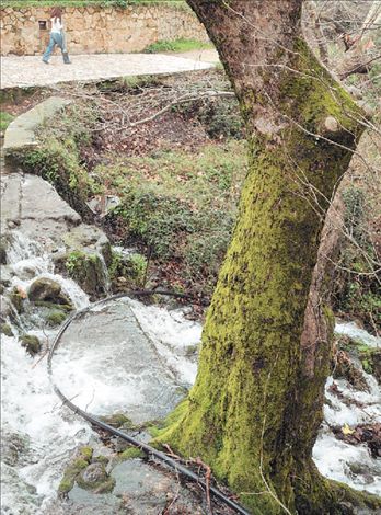 Για πέστροφες στα Καμπιά