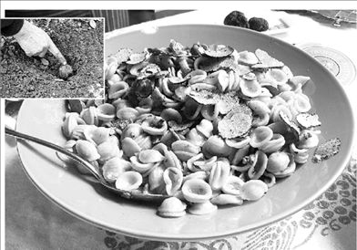 Τρούφα, το ακατέργαστο  βρώσιμο διαμάντι της γης