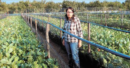 «Τρέχουν» τα σαλιγκάρια