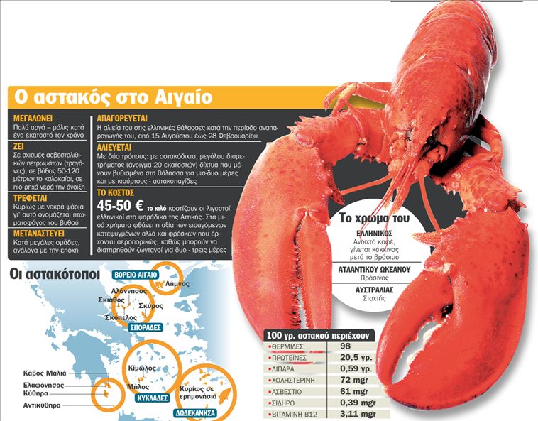 Τα μυστικά των αστακοκυνηγών