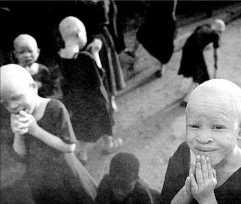 Αλμπίνος σημαίνει θάνατος