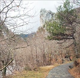 Περιήγηση στο Ράμνο Μπορ