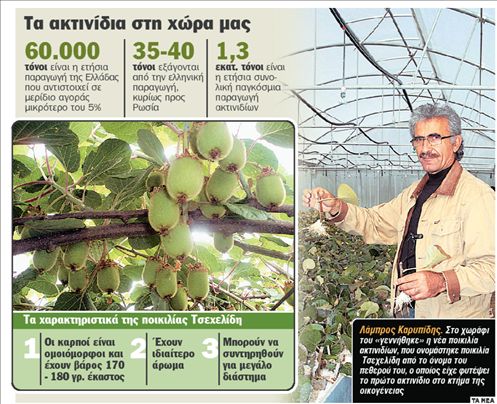 Ακτινίδιο με… πνευματικά δικαιώματα