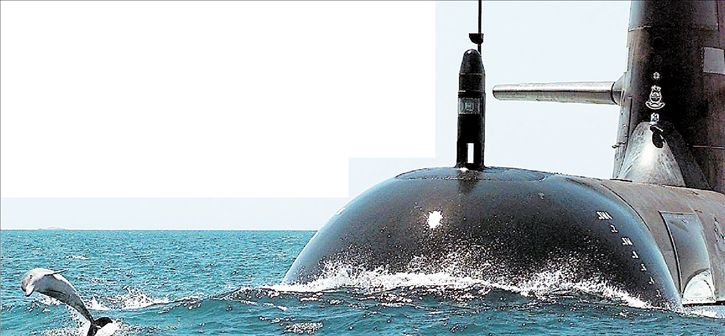 «Παύσατε πυρ»  φάλαινες