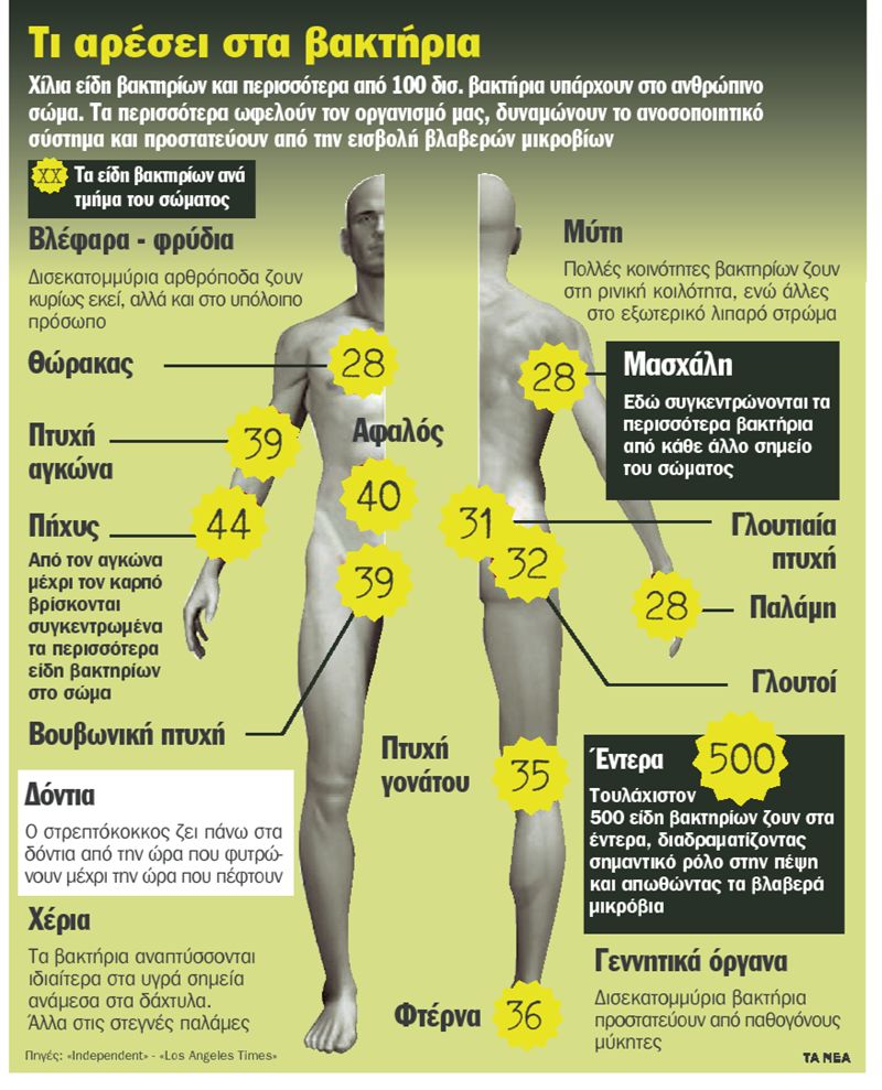 1.000 είδη βακτηρίων ζουν στο σώμα μας