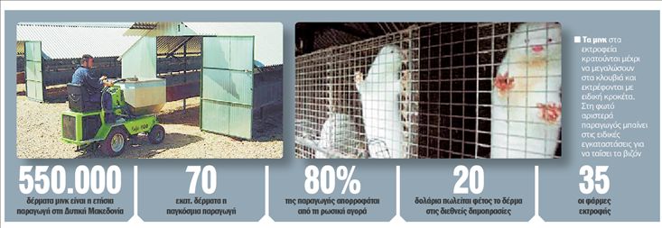 Ο πόλεμος των μινκ