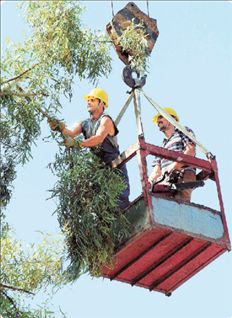 Προσωπικό στον Δήμο Βουπρασίας