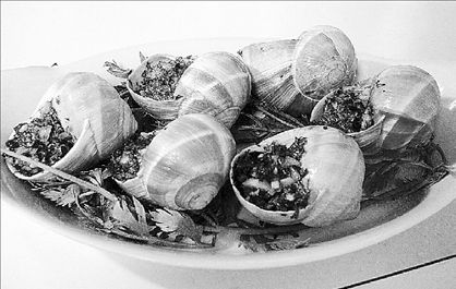 Σαλιγκάρια: από την Κρήτη  έως την όχθη του Σηκουάνα