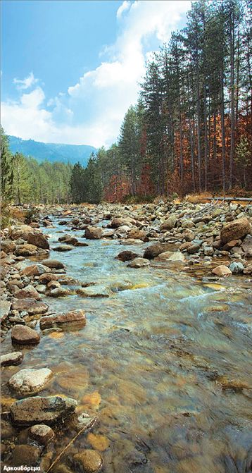 Ο Εθνικός Δρυμός Πίνδου