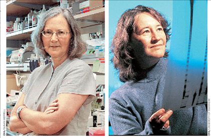 Βραβείο Νόμπελ για το  «ένζυμο της αθανασίας»