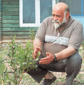 Μάνγκο… από τον τόπο σου