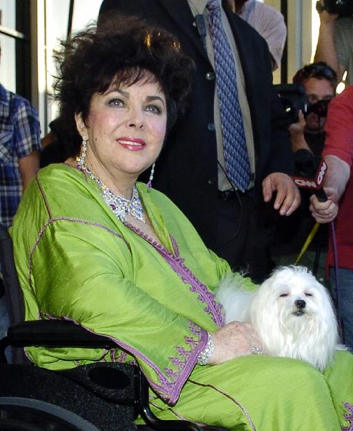 Καρδιά: Η θεραπεία της Ελίζαμπεθ Τέιλορ