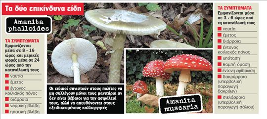 SΟS για το… γκουρμέ δηλητήριο