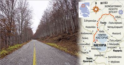 Μέσα από οξιές στο Πολυκέρασο