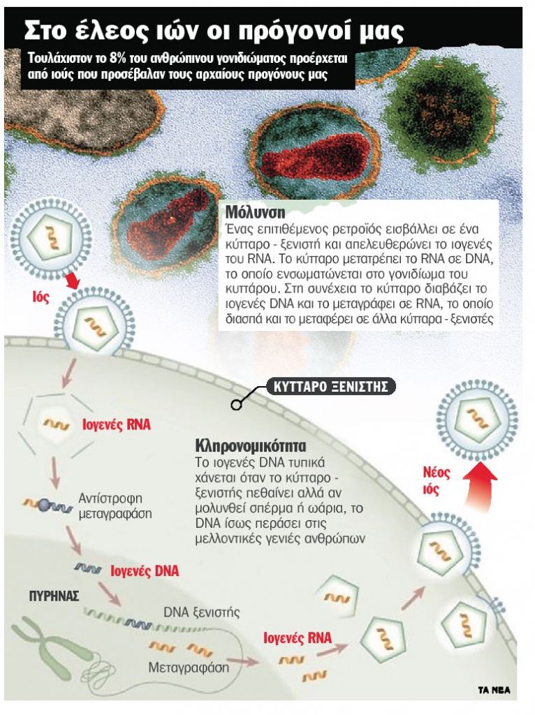 Οι «κυνηγοί» των απολιθωμένων ιών