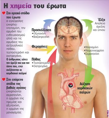 Ο έρωτας «καίει» τον εγκέφαλο