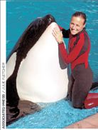 Την έπνιξε η φάλαινα δολοφόνος