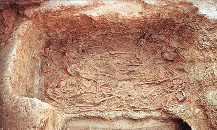 Τυφοειδής πυρετός έσπειρε  τάφουςστην αρχαία Αθήνα
