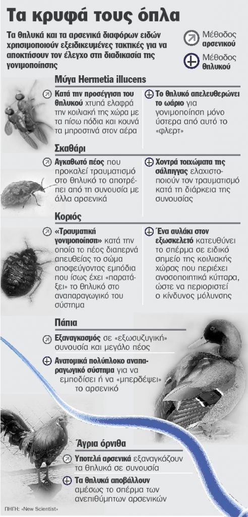 Η μάχη των φύλων αρχίζει στη μήτρα