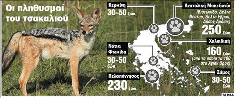 Το τέλος ενός  επικηρυγμένου